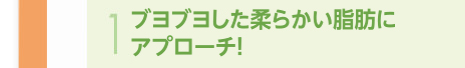 ブヨブヨした柔らかい脂肪を溶かしてアプローチ！