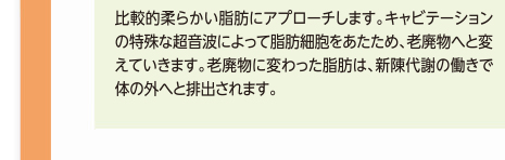比較的柔らかい脂肪をアプローチさせます。キャビテーションの特殊な超音波によって脂肪細胞を溶解し、老廃物へと変えていきます。老廃物に変わった脂肪は、新陳代謝の働きで体の外へと排出されます。