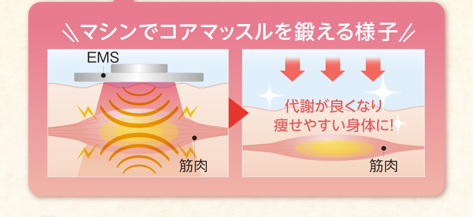 ハンド1　老廃物を体外へ排出！　リッツ式ハンド　リッツ式ハンドで、他の痩身マシンで蓄積された老廃物などを体外へ排出。頑固な脂肪やセルライトも、「揉む」、「解す」、「絞る」ことによって徹底的に改善します。