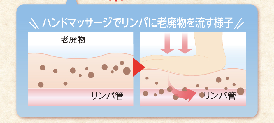 通い放題コースはココが凄い2 女性の気になる部位が全て施術可能です！