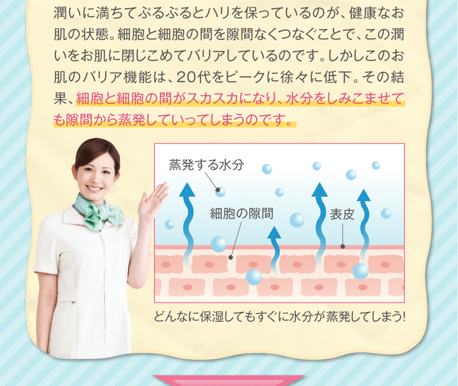 潤いに満ちてぷるぷるとハリを保っているのが、健康なお肌の状態。細胞と細胞の間を隙間なくつなぐことで、この潤いをお肌に閉じこめてバリアしているのです。しかしこのお肌のバリア機能は、20代をピークに徐々に低下。その結果、細胞と細胞の間がスカスカになり、水分をしみこませても隙間から蒸発していってしまうのです。